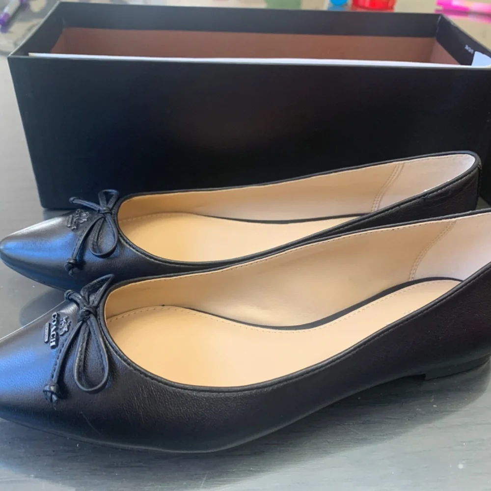 Brand new coach flat - Picture 3 of 3